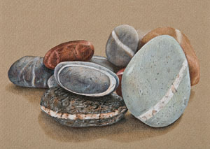 Beach Stones